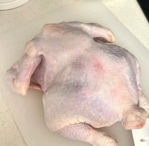 Halal Frozen Whole Chicken Factory Frozen Whole Chicken