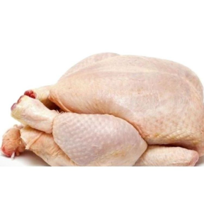 Halal Frozen Whole Chicken Premium Quality Bqf Process 25kg UK Origin up to 6 Months Shelf Life