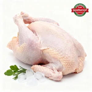 Halal Frozen Whole Chicken Raw Poultry Meat for Muslim Food Export