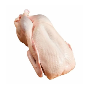 Halal Frozen Whole Duck