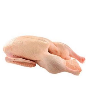 Halal Frozen Whole Duck Available for Sale