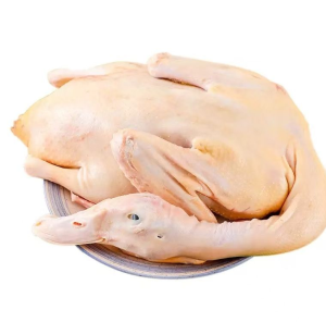 Halal Frozen Whole Duck Clean Frozen Whole Duck