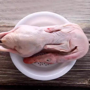 Halal Frozen Whole Duck Fresh Poultry