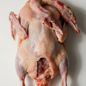 Halal Frozen Whole Duck Gourmet Cooking Supply