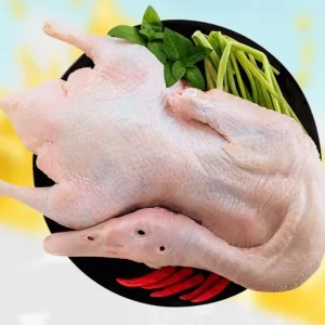 Halal Frozen Whole Duck Including Duck Meat