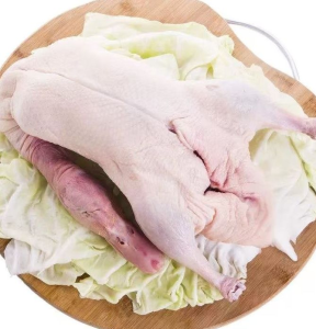 Halal Frozen Whole Duck No Additives Premium Export