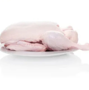 Halal Frozen Whole Duck with Wing and Leg Fresh Poultry Without Offal