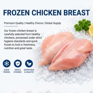 Halal HACCP Certified Frozen Chicken Breast Fillet Boneless Skinless Grade A Bulk Pack 10kg Carton