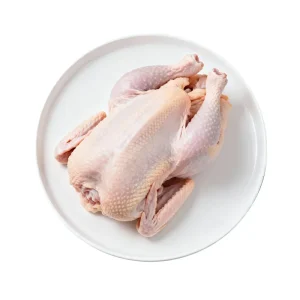 Halal High Quality Frozen Whole Chicken China Export
