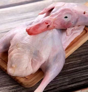 Halal Premium Frozen Whole Duck for Export Chinese Factory
