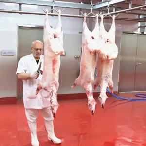 Halal Sheep Slaughterhouse Lamb Abattoir Equipment Goat Butchery Slaughtering Line Machine