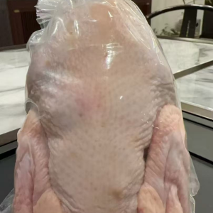 Halal Whole Chicken Frozen Quality Packaging