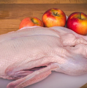Halal Whole Duck High Quality Frozen Duck