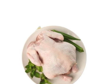 Halal Whole Frozen Chicken for Sale Discount Rate