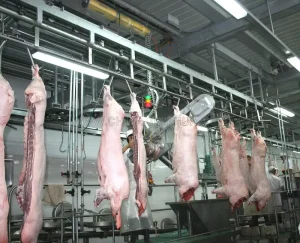 Hand Type Pig Carcass Splitting Saw