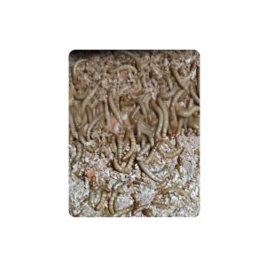 Healthy High Protein Low Fat Dried Mealworm Powder for Small Pets Skin & Coat Health Feeding No Artificial Vitamins & Minerals