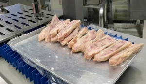Heavy Duty Butcher Saw Cut Meat and Bones Beef Pork Lamb and Poultry