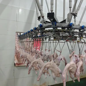 Heavy Duty Poultry Slaughtering Machine 1000 12500bph Full Automatic Chicken Duck Processing Machine for Large Abattoir Factory SUS304 CE Certified