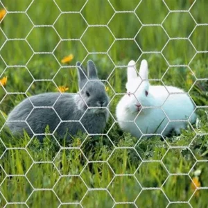 Hexagonal Mesh Fence Chicken Wire Chicken Wire Netting Rabbit Wire Netting