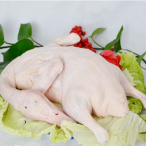 High Calorie and Low Carbohydrate White Striped Duck