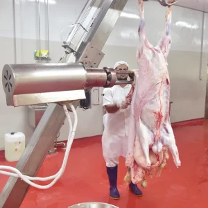 High Efficiency Lamb Slaughter House Machine Lamb Slaughter Process