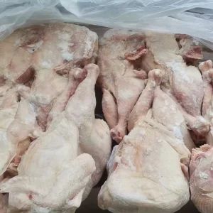High Grade High Quality Fresh Frozen Whole Chicken Poultry Meat Frozen Whole Chicken