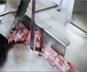 High Performance Bone Sawing Equipment for Advanced Precision Cutting