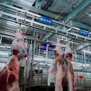 High Performance Cattle Beef Slaughterhouse Machinery for Sale