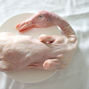 High Protein Content Frozen White Duck Carcass