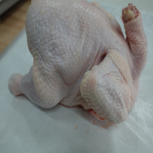 High Protein Fresh Frozen Chicken Meat Whole Chicken