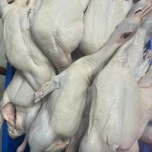 High Protein and Low Fat Chinese White Striped Duck