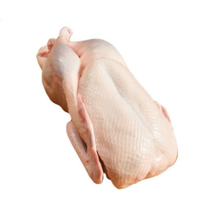 High Quality Exportablefrozen Whole Duck Top Meat with Whole Part Halal