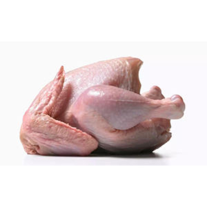 High Quality Frozen Chicken