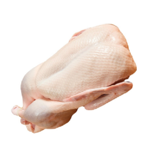 High Quality Frozen Duck Premium Product for Sale