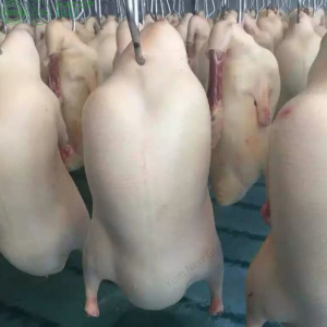 High Quality Frozen IQF Peking Duck for Sale in Plastic Packaging