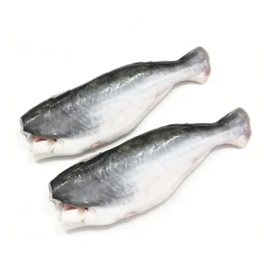 High Quality Frozen Pangasius HGT 800-1000g 1000g+ Vietnam Origin BQF Bulk Factory Price