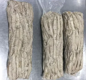High Quality Frozen Skipjack Tuna Whole Round Frozen Tuna Fish Price Precooked Frozen Skipjack Tuna Loin for Canning