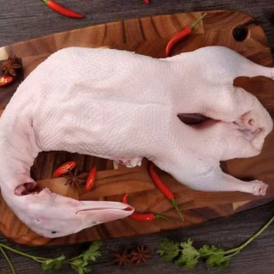 High Quality Frozen Whole Duck Factory Direct Supply