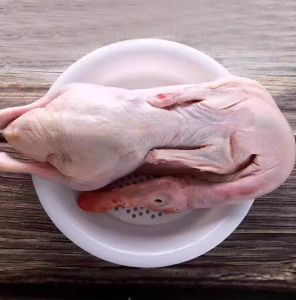 High Quality Frozen Whole Duck Free Range Quick Frozen Whole Duck Export Commercial Use
