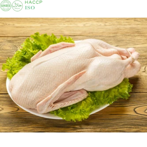 High Quality Frozen Whole Duck Halal Certification Manual Slaughtering with Certificate No Bruises No Drug Residues No Odor Price Excellent