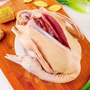 High Quality Frozen Whole Duck Stock Available