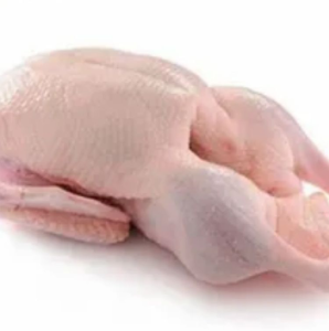 High Quality Frozen Whole Duck and for Cooking in Stock and Ready for Purchase