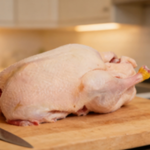 High Quality Frozen Whole Duck for Gourmet Cooking and Recipes
