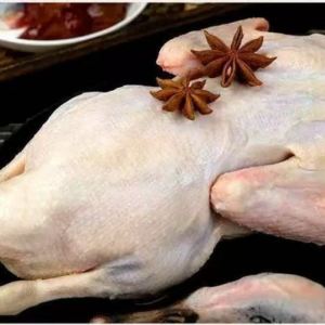 High Quality Frozen Whole Duck for Traceable Farm to Factory