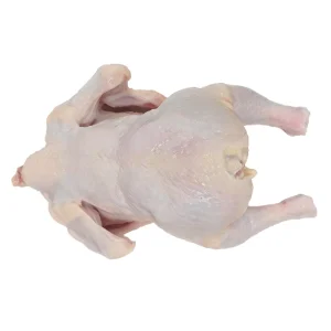 High Quality Halal Frozen Whole Chicken Breast Griller Neck Feet Giblets Tail Removed 12kg China 24 Months Shelf Life