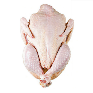 High Quality Halal Frozen Whole Chicken Factory Frozen Whole Chicken Premium Quality Frozen Whole Chicken