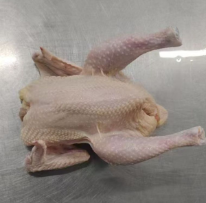 High Quality Halal Frozen Whole Chicken Frozen Chicken Breast