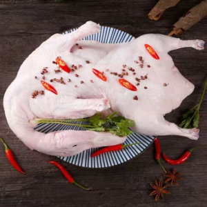 High Quality Low Fat Frozen Whole Duck and Halal Pork at for Muslim Consumers