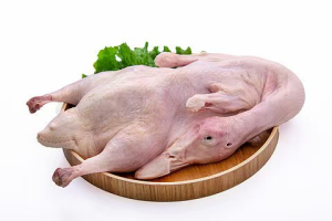 High Quality Soft Juicy Naturally Fed Frozen Whole Duck