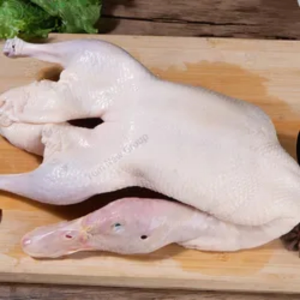 Hot Style Direct Sale Frozen Delicious Duck Export Grade